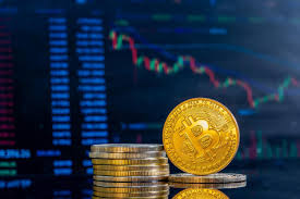 Битс казино