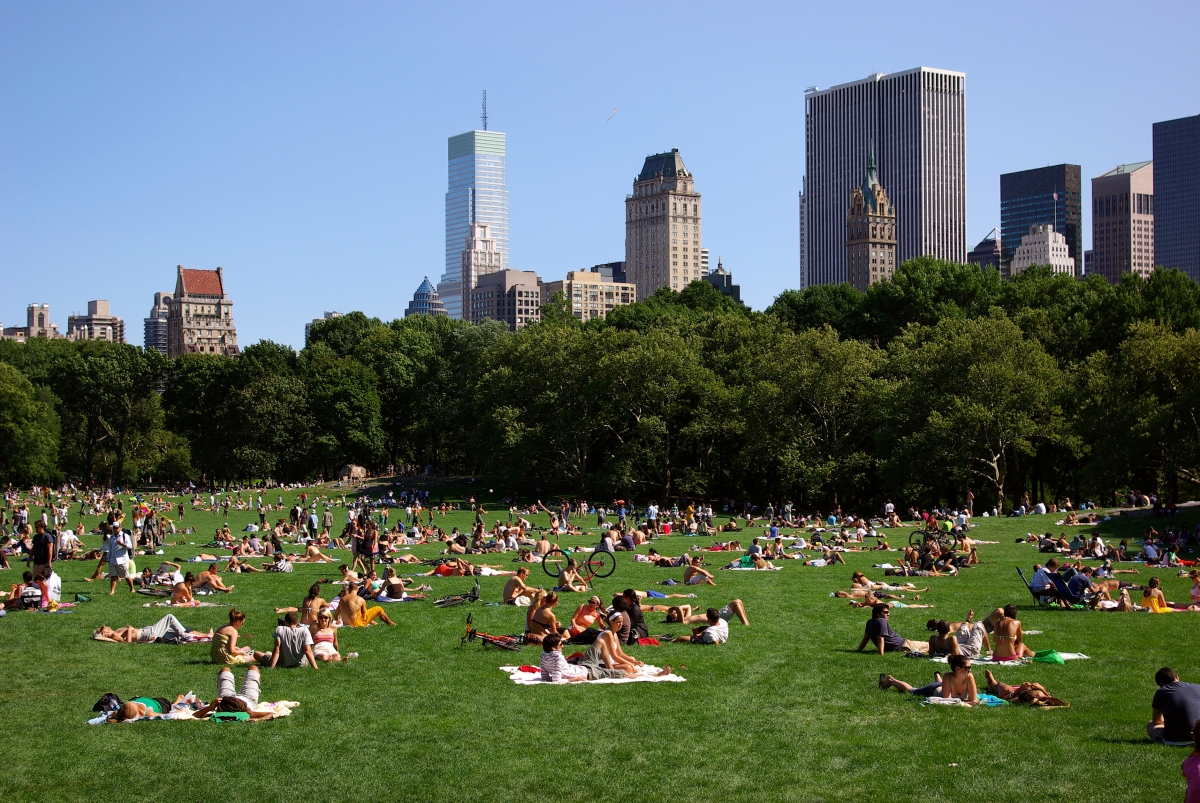 Top 10 Free Things To Do In New York City This Summer1
