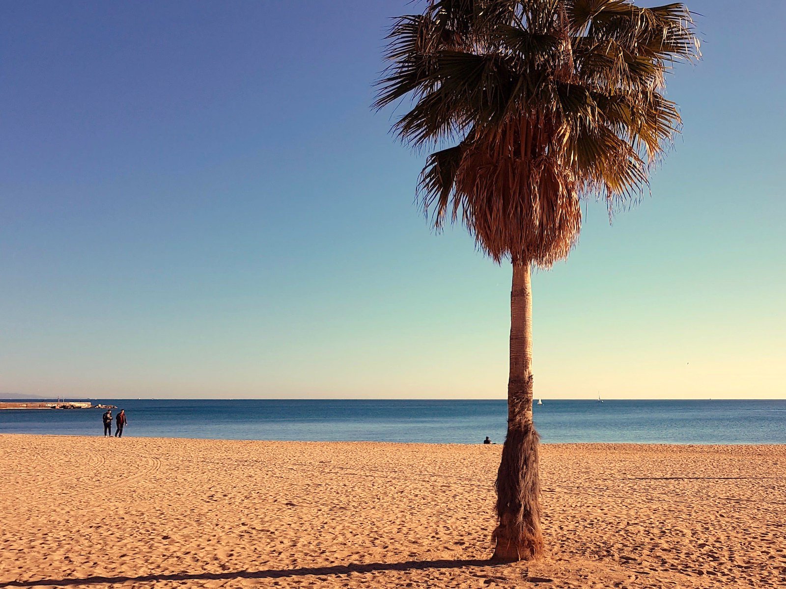 10 Things to Do in Barcelona in the Winter